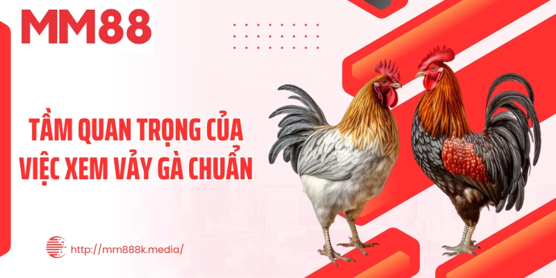 Tầm quan trọng của việc xem vảy gà chuẩn